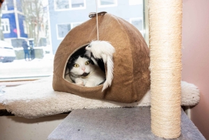 Combinaison privée Reykjavik Folklore & CatWalk