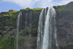 Private Tagestour an der Südküste mit Gletscherwanderung
