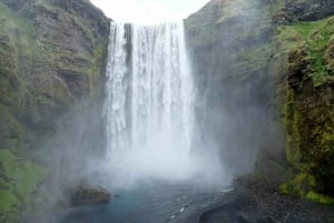 Private Tagestour an der Südküste mit Gletscherwanderung