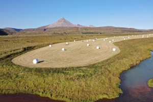 Privat gårdsopphold i vest og Snæfellsnes-eventyr