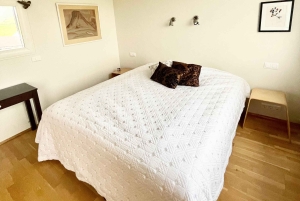 Privat gårdsopphold i vest og Snæfellsnes-eventyr