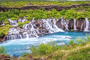 Privéboerderijbezoek in West-IJsland en Silver Circle-dagtour