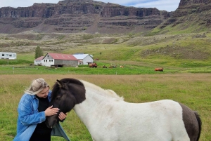 Privéboerderijbezoek in West-IJsland en Silver Circle-dagtour