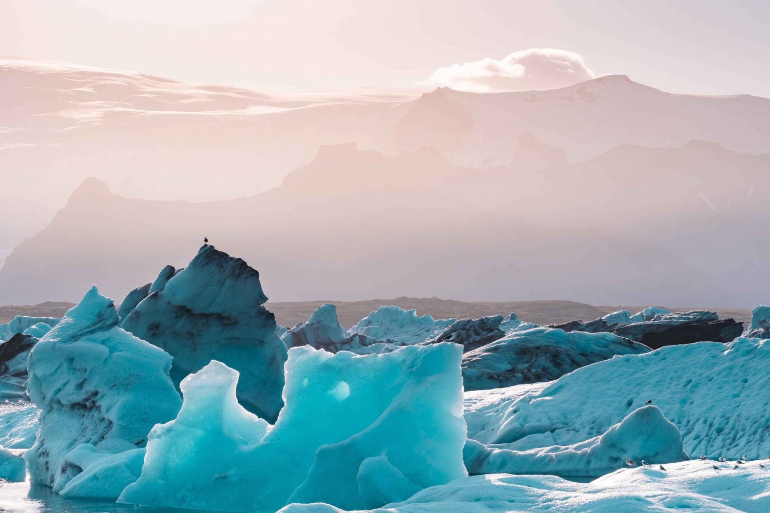 Privat glaciärlagun - Jökulsárlón