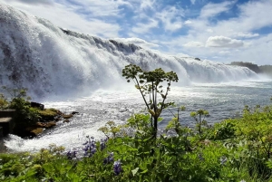 Tour privado del Círculo Dorado con servicio de recogida en el aeropuerto