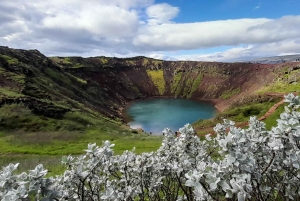 Tour privado del Círculo Dorado con servicio de recogida en el aeropuerto