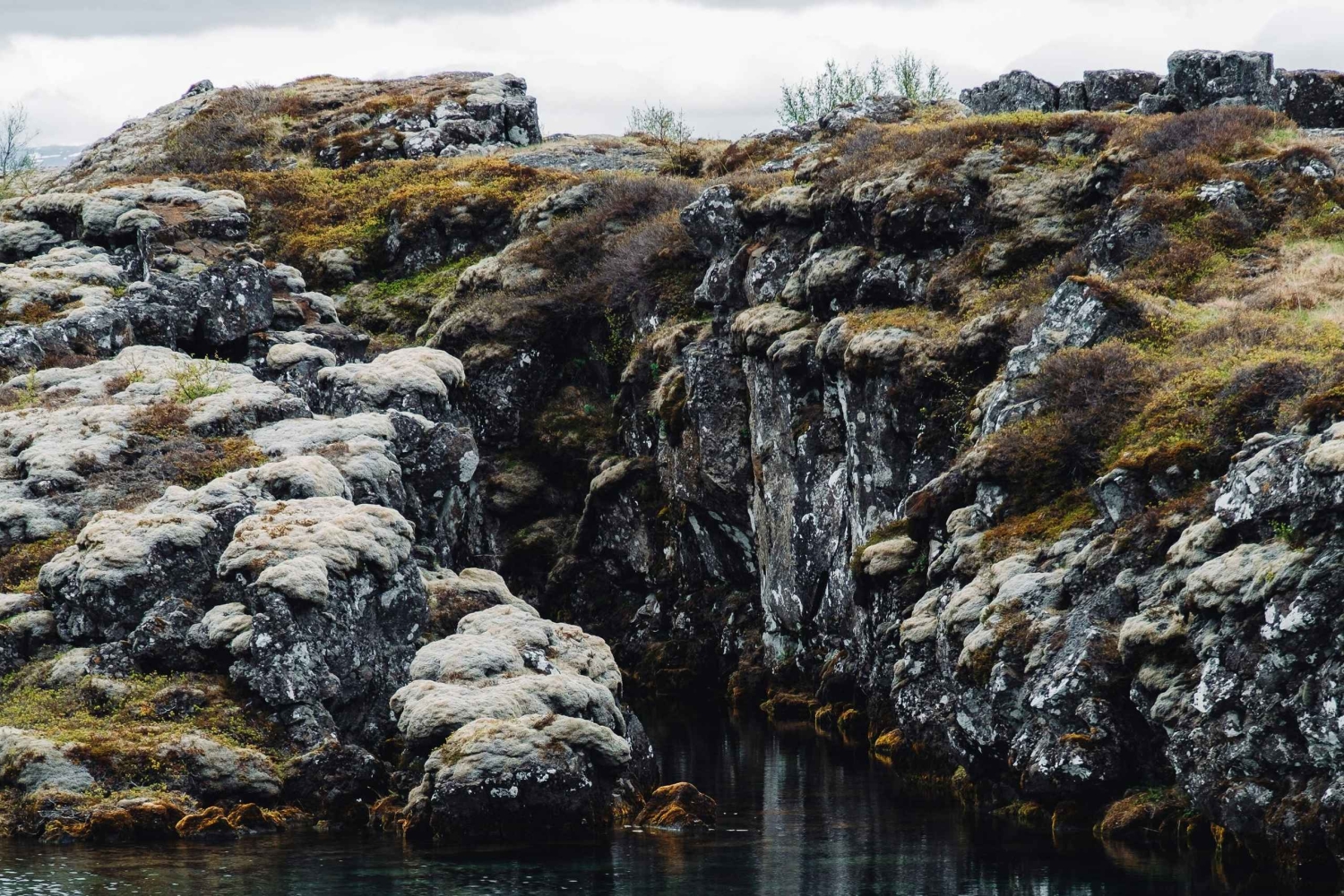 Privat Golden Circle-tur med erfaren reseledare