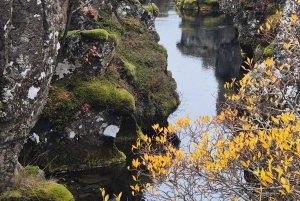 Private Golden Circle Tour