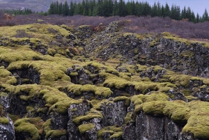 Tour Privado do Círculo Dourado