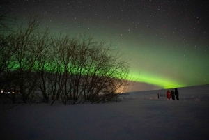 Tour serale privato dell'aurora boreale