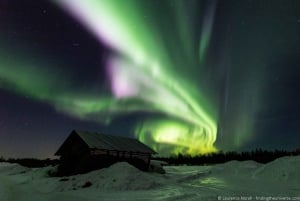 From Reykjavik: Private Northern Lights Tour