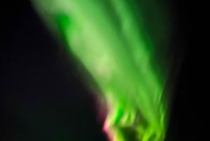 From Reykjavik: Private Northern Lights Tour