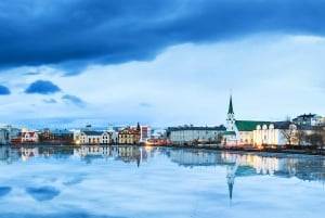 Privé Reykjavik Kunst Wandeltour