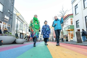 Privé Reykjavik Kunst Wandeltour