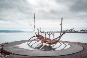 Privé Reykjavik Kunst Wandeltour