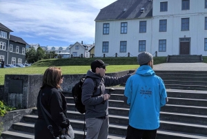 Privétour door Reykjavik & culinaire wandeltour