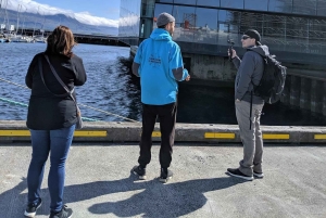 Privétour door Reykjavik & culinaire wandeltour