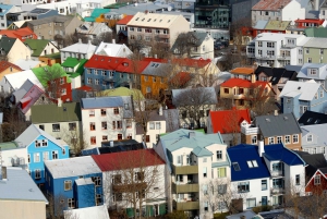 Yksityinen Reykjavikin kaupungin ja islantilaisen arkkitehtuurin kävelykierros