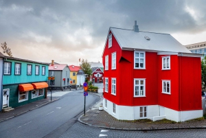 Tour privato della città di Reykjavik e dell'architettura islandese a piedi