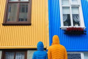 Privé Reykjavik Stad & IJslandse Architectuur Wandeltour