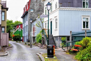 Tour privado a pie por la ciudad de Reikiavik y la arquitectura islandesa