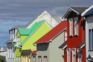 Private Stadtführung durch Reykjavik und Rundgang zur isländischen Architektur