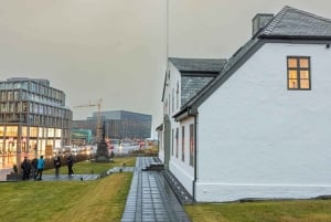 Private Stadtführung durch Reykjavik und Rundgang zur isländischen Architektur