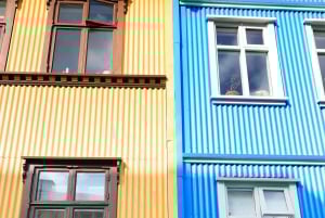 Private Stadtführung durch Reykjavik und Rundgang zur isländischen Architektur