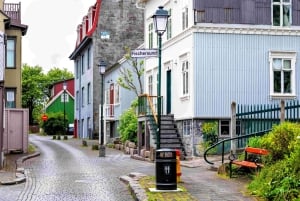 Private Stadtführung durch Reykjavik und Rundgang zur isländischen Architektur