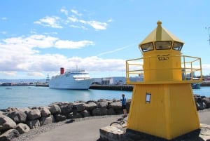 Prywatna wycieczka po mieście Reykjavík