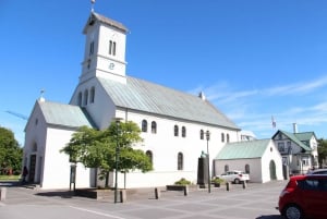 Stadsrondleiding Reykjavík voor privégebruik