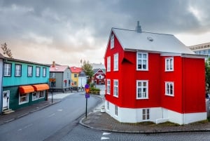 Yksityinen Reykjavikin kaupunkikierros
