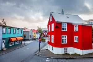 Excursão particular a pé para compras e passeios turísticos em Reykjavik