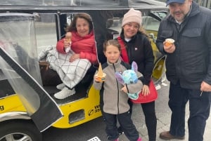 Private Reykjavík Tuk Tuk Extended Tour
