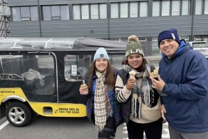 Private Reykjavík Tuk Tuk Tour