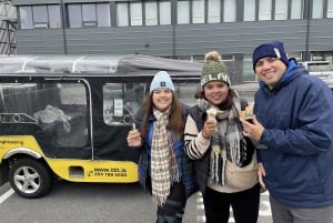 Private Reykjavík Tuk Tuk Tour