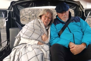 Private Reykjavík Tuk Tuk Tour