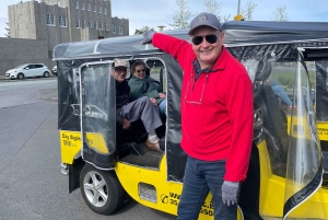 Private Reykjavík Tuk Tuk Tour
