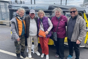 Private Reykjavík Tuk Tuk Tour