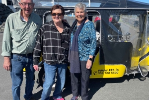 Private Reykjavík Tuk Tuk Tour