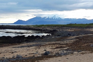 Tour privato della penisola di Snaefellsnes da Reykjavik