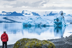 Privat tur til sydkysten og Jokulsarlon på flere sprog