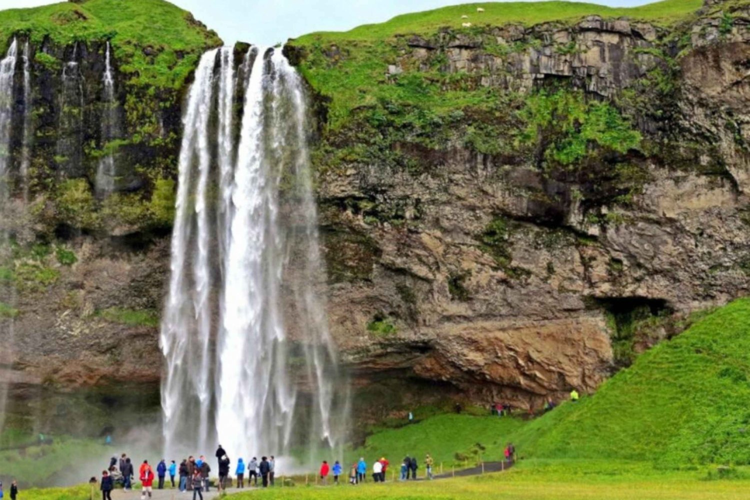 Da Reykjavik: Tour privato della costa meridionale dell'Islanda