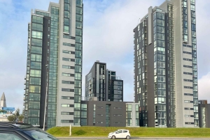 Transfer privato da Reykjavik all'aeroporto di Keflavik (KEF)