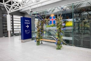 Keflavik Airport: Private Transfer to Reykjavik City