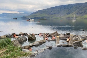Yksityinen kuljetus: Reykjavíkista Hvammsvíkin kuumille lähteille ja takaisin
