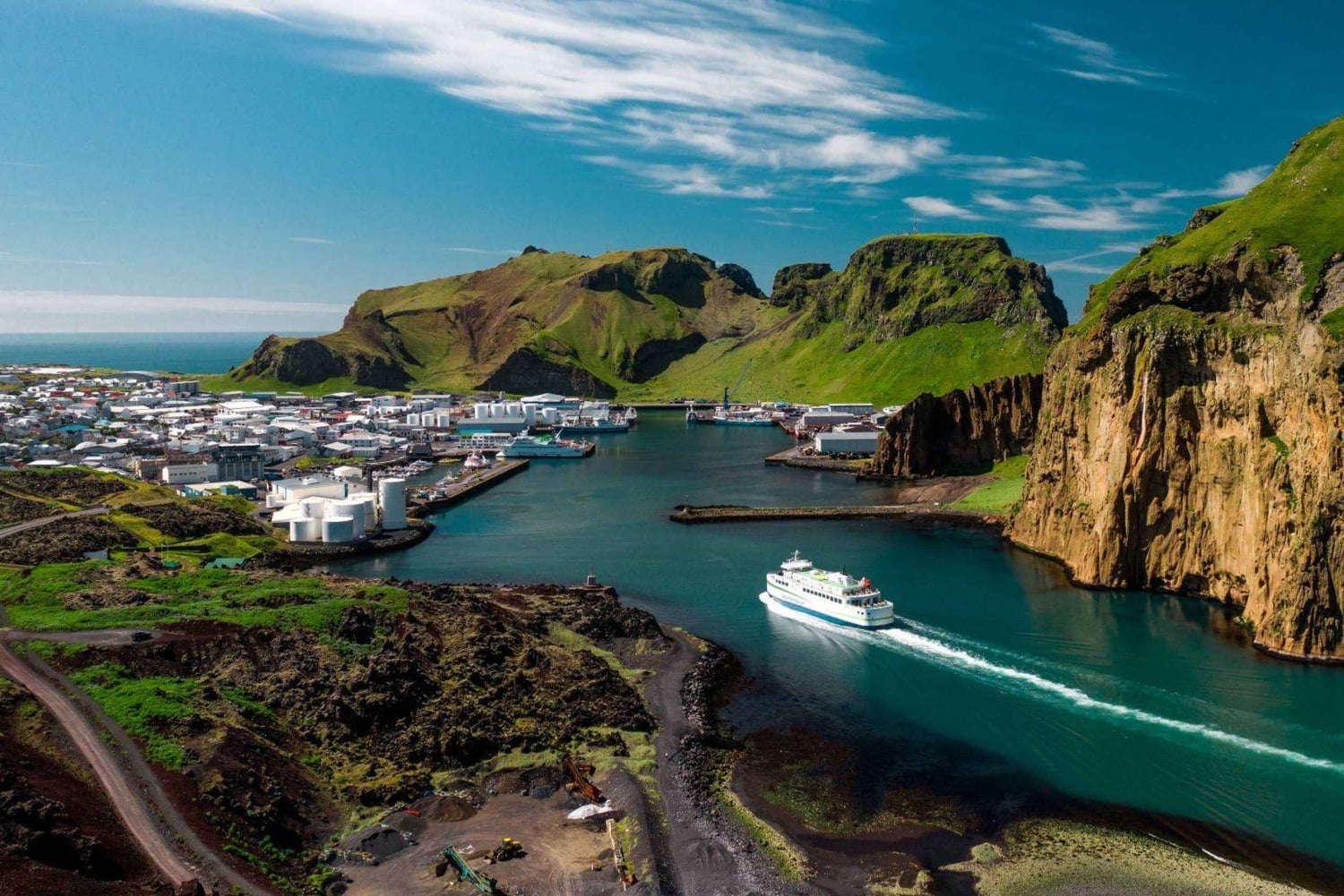 Isole Westman private con pulcinella di mare e beluga (Fino a 8 persone)
