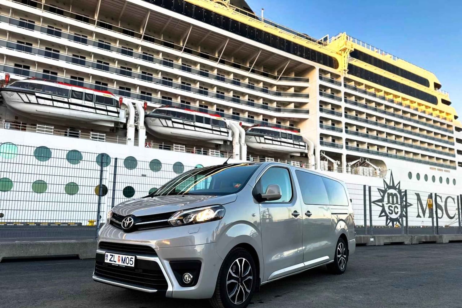 Isole Westman private con pulcinella di mare e beluga (Fino a 8 persone)