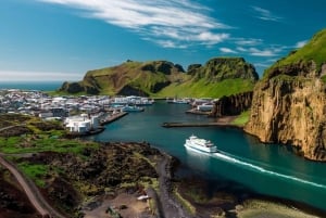 Isole Westman private con pulcinella di mare e beluga (Fino a 8 persone)