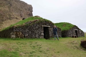 Isole Westman private con pulcinella di mare e beluga (Fino a 8 persone)